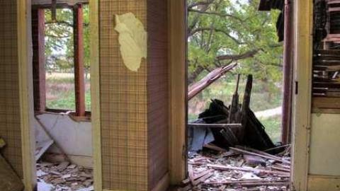 goin' down, down, down, down - 8th-Line-Farm42.jpg