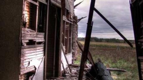 goin' down, down, down, down - 8th-Line-Farm43.jpg