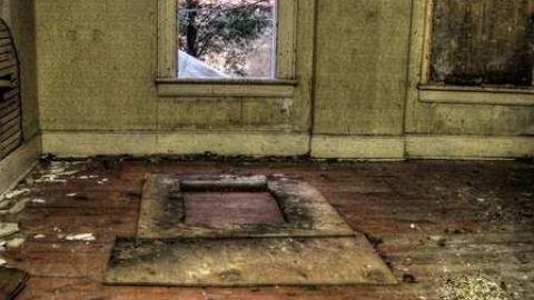 goin' down, down, down, down - 8th-Line-Farm36.jpg