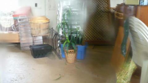 Wet Windows - Condensed-Version3.jpg