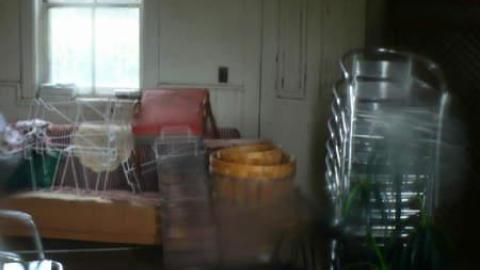 Condensed Version photo 4