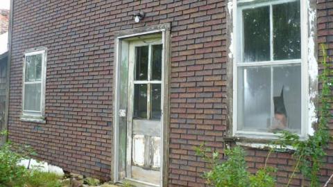 Condensed Version photo 2