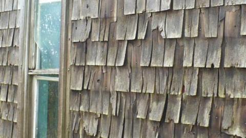 Wet Windows - Condensed-Version9.jpg