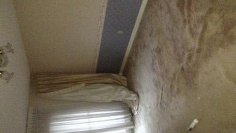 Inside pics  - 407-Extension-Solina21.jpg