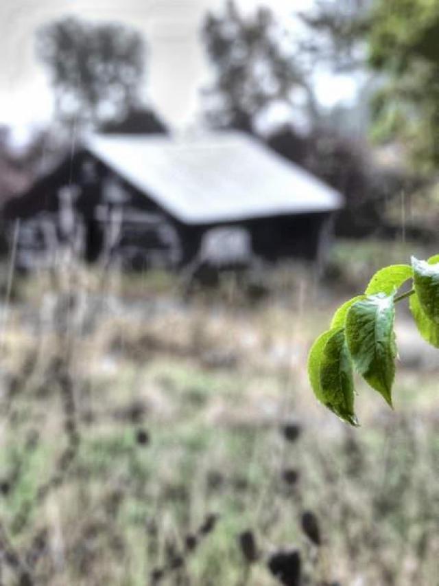 Clean and Disgusting - 5.jpg