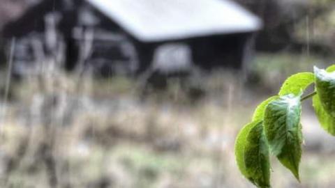 Clean and Disgusting - 5.jpg