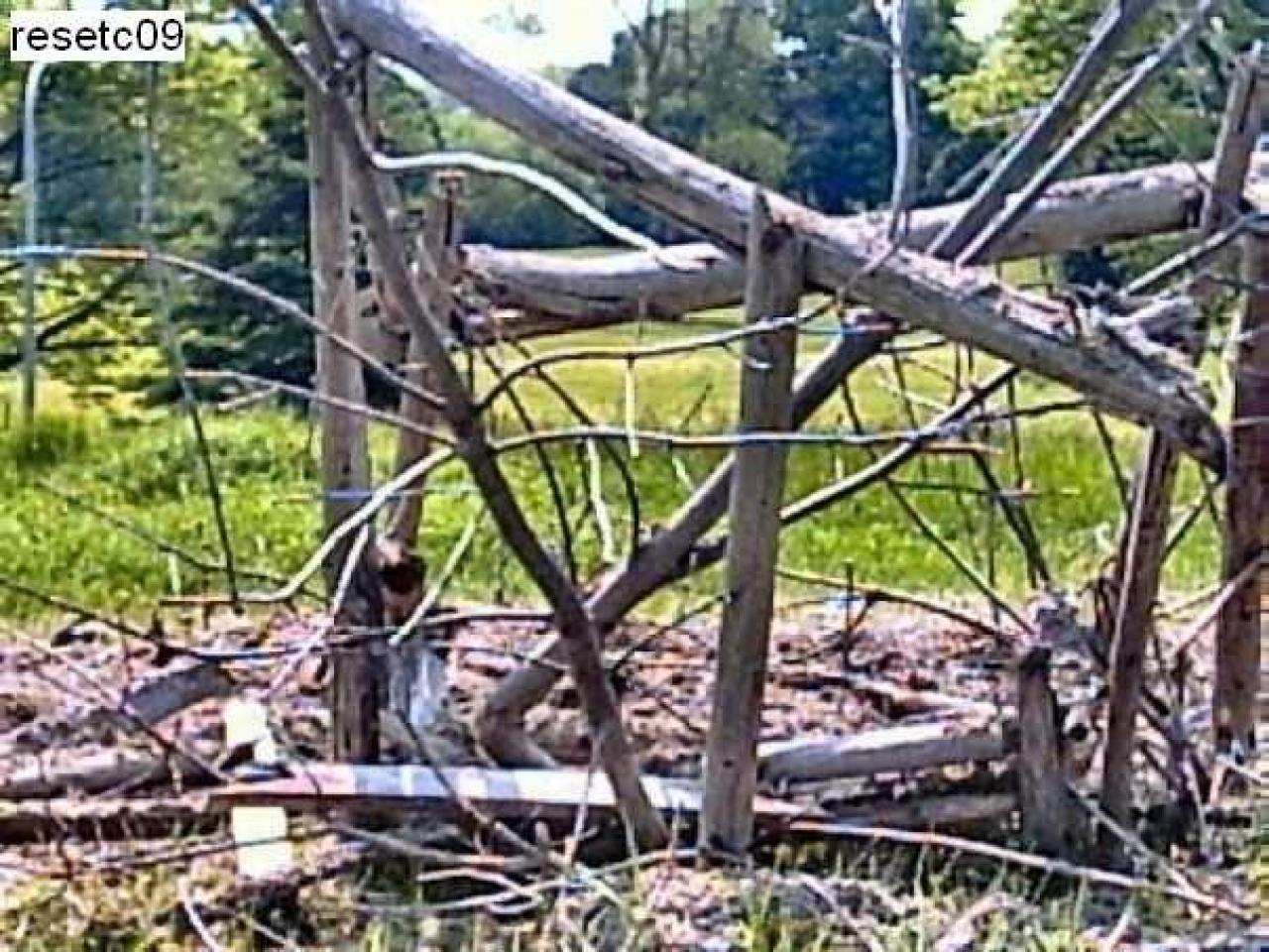 Gallery - Huronia-Regional-Centre94.jpg