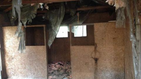 Old Family Memorys - Old-Family-Memories11.jpg