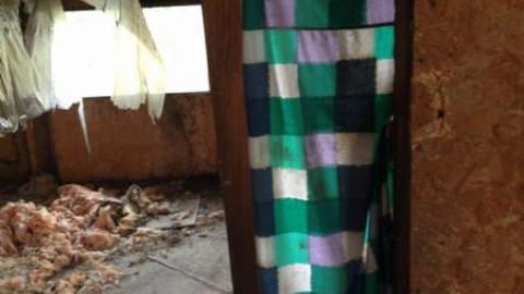 Old Family Memorys - Old-Family-Memories12.jpg