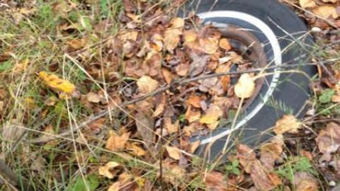 Old Family Memorys - Old-Family-Memories7.jpg