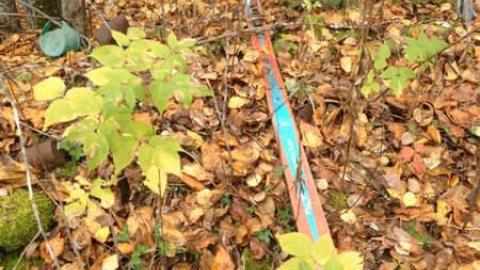 Old Family Memorys - Old-Family-Memories18.jpg