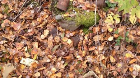 Old Family Memorys - Old-Family-Memories8.jpg