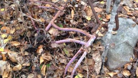 Old Family Memorys - Old-Family-Memories19.jpg