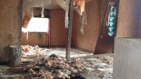 Old Family Memorys - Old-Family-Memories10.jpg