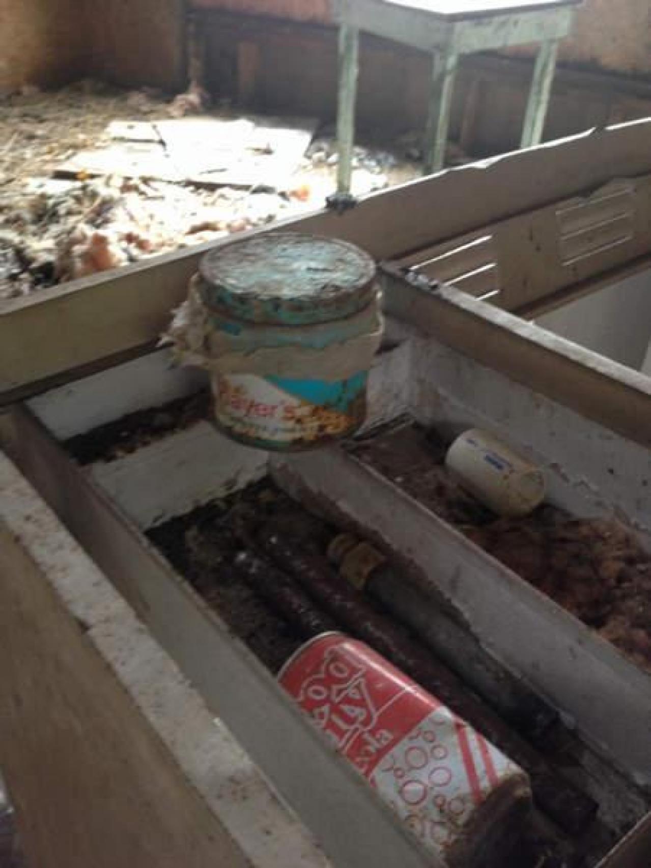 Old Family Memorys - Old-Family-Memories21.jpg