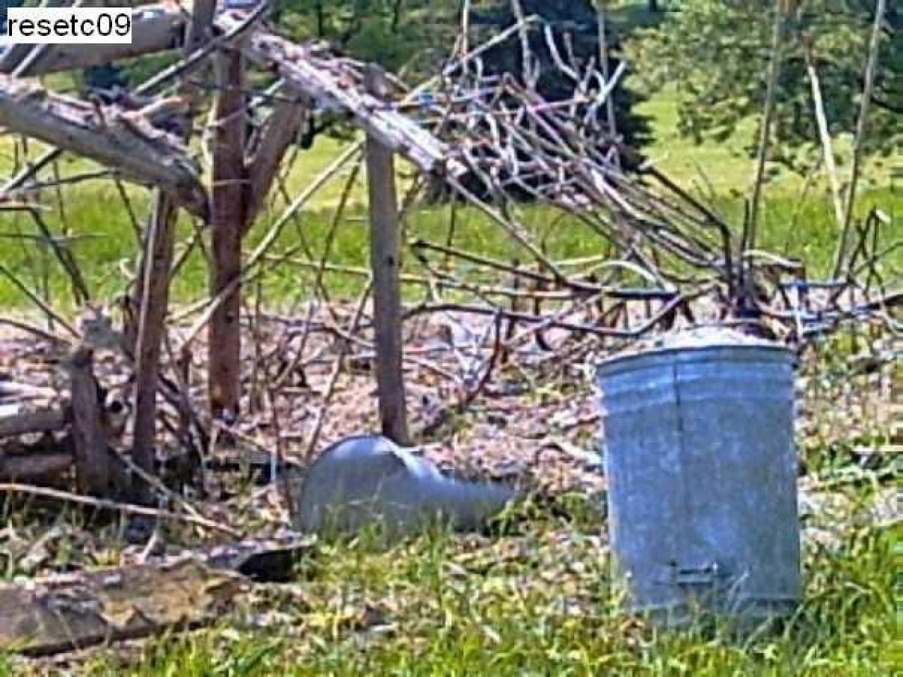 Gallery - Huronia-Regional-Centre95.jpg