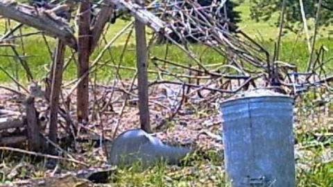 Gallery - Huronia-Regional-Centre95.jpg