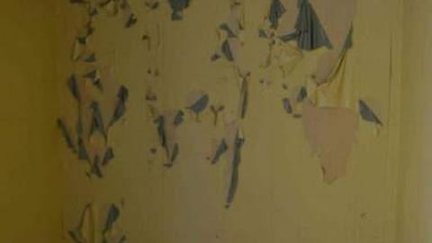 Sunday Drive 2014 - Halihurtin-116.jpg