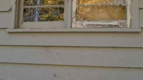 Sunday Drive 2014 - Halihurtin-16.jpg