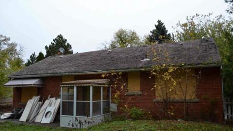 Indecent Proposal photo 4