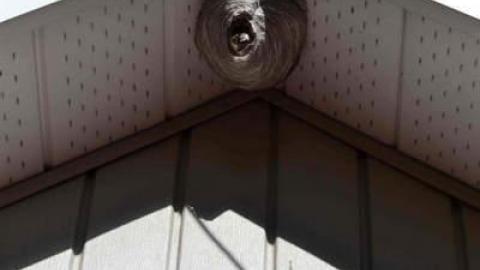 Little Cover 2014 - Halihurtin-21.jpg