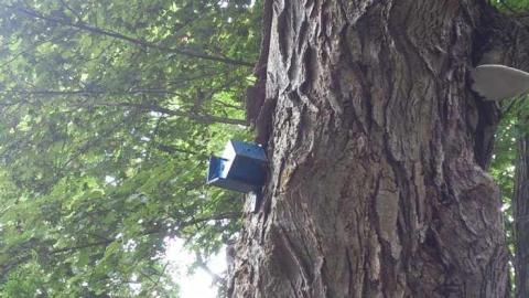 Ruins - MagnerRobson-Home-(1860)75.jpg