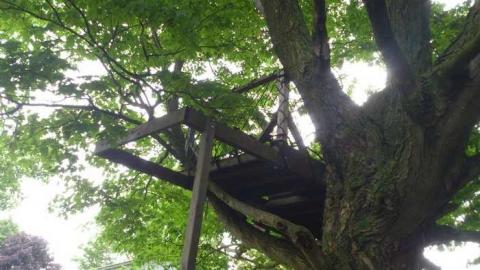 Ruins - MagnerRobson-Home-(1860)74.jpg