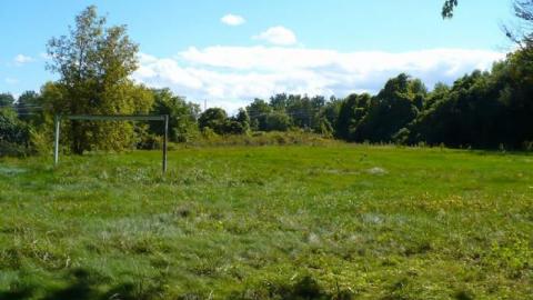 Summer Camp - P1180375.jpg