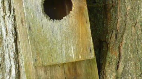 Summer Camp - P1180379.jpg