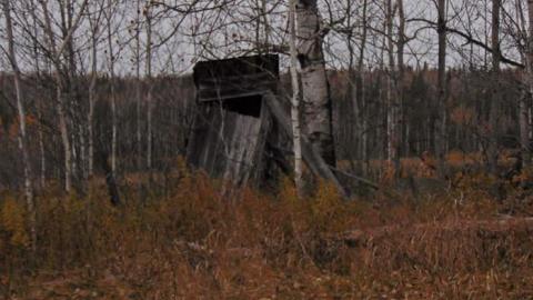 Tom's Place - Toms-Place3.jpg