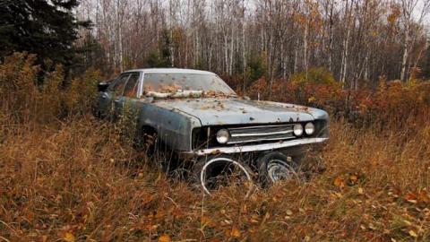 Tom's Place - Toms-Place12.jpg