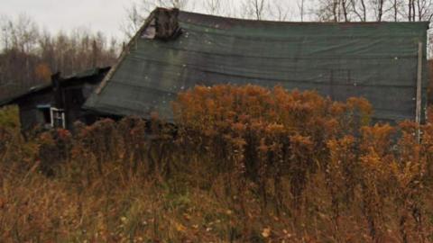 Tom's Place - Toms-Place4.jpg