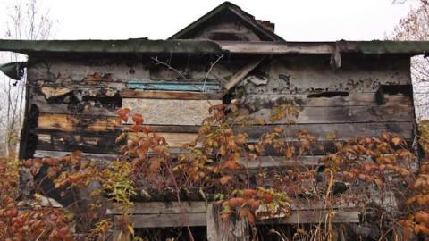 Tom's Place - Toms-Place15.jpg