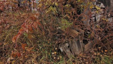 Tom's Place - Toms-Place7.jpg