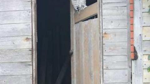 Abandoned Near Cressy - Old-Farmhouse29.jpg