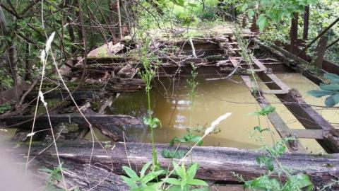 bridge to nowhere - Bridge-to-Nowhere21.jpg