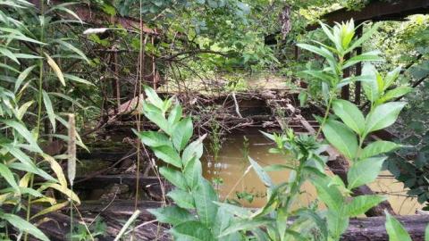 bridge to nowhere - Bridge-to-Nowhere22.jpg