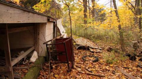 FALLing apart at the seams. - House-on-the-Hill9.jpg