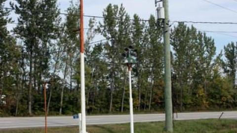 Sept 2014 - Food-for-a-Friend4.jpg