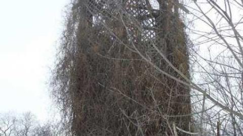 Riverdale Farm (Zoo) photo 2