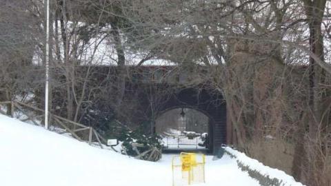 Riverdale Zoo - Riverdale-Farm-(Zoo)14.jpg