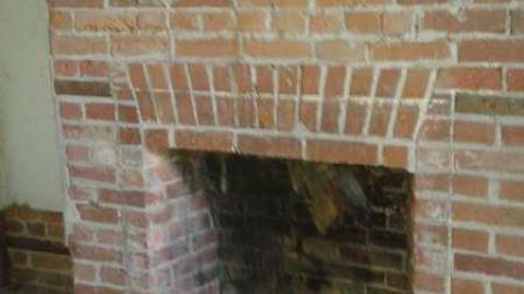 Tread Lightly - 20141019_134038.jpg