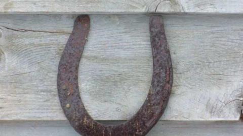 Riverdale Zoo - Riverdale-Farm-(Zoo)18.jpg