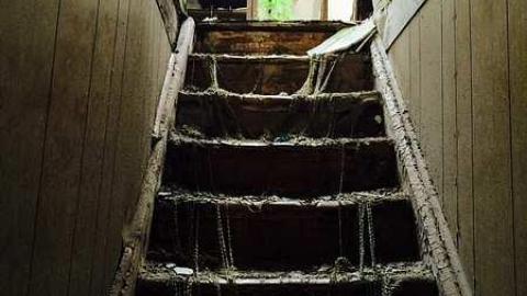 Very rotten 2014 - udimage.jpg