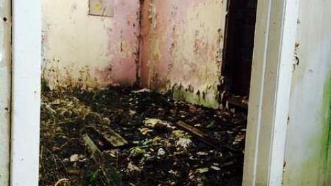 Very rotten 2014 - wsimage.jpg