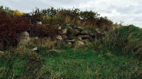 Very rotten 2014 - rgimage.jpg