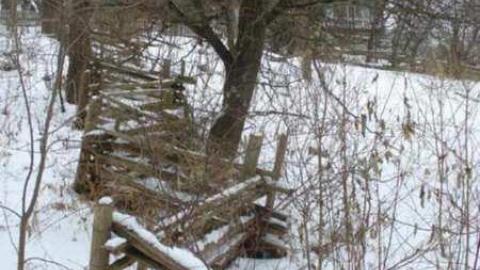 Riverdale Zoo - Riverdale-Farm-(Zoo)9.jpg