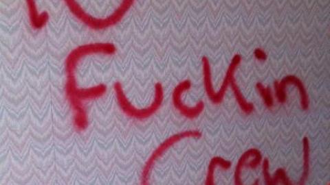 Long forgotten beauty photo 4