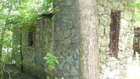 Riverdale Zoo - Riverdale-Farm-(Zoo)20.jpg