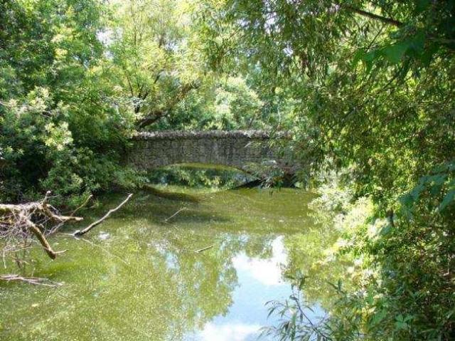 Riverdale Farm (Zoo) photo 5